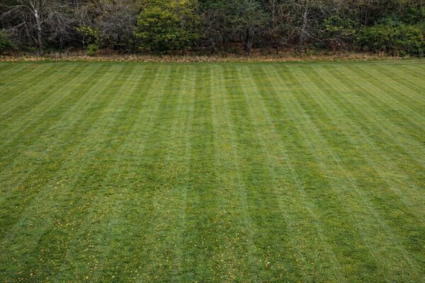 ChatGPT Image Feb 12, 2026, 04_51_31 PM