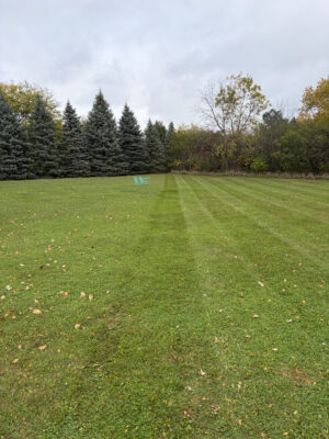 Half Cut Half Uncut Angie