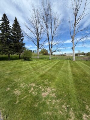 livephoto-export-image-19