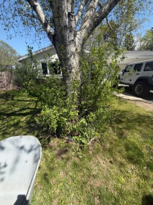 livephoto-export-image-6